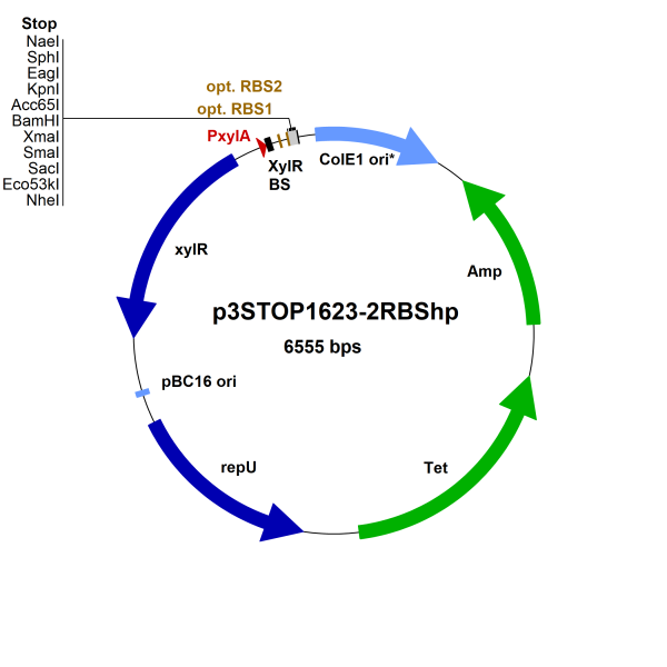 Bacillus megaterium vector p3STOP1623-2RBShp