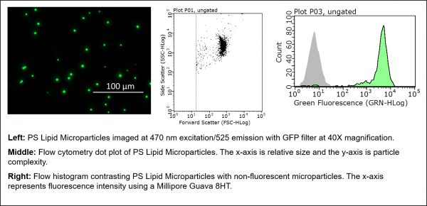 PC/PS Lipid Microparticles (Echelon Product Code: P-B1PCPS 100UL)