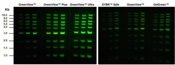 GreenView Ultra DNA Gel Stain