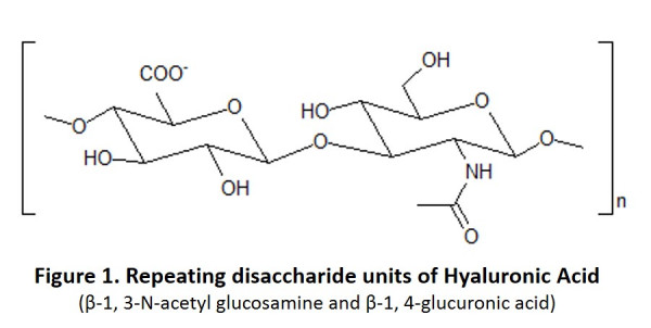 Sodium Hyaluronate – 3000 kDa (Echelon Product Code: H-3000 5G)