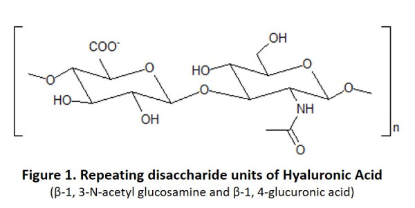 Sodium Hyaluronate – 250 kDa (Echelon Product Code: H-0250 250MG)