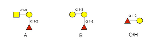 Dextra blood group products