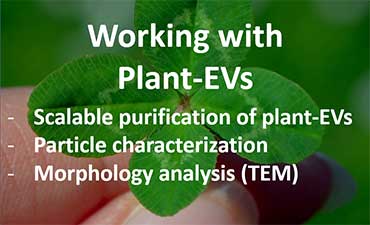 EX-RNA-plantEvs