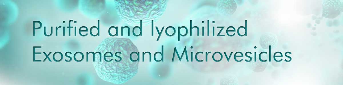 Lyophilized-EVs