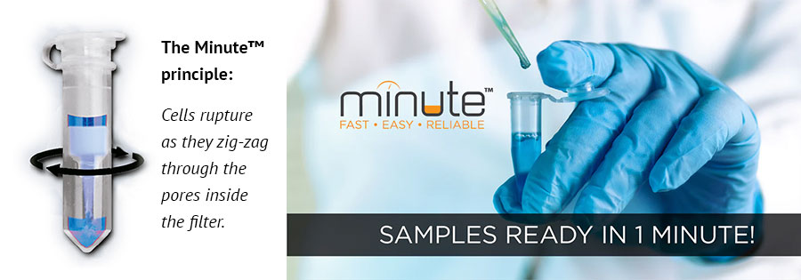 The Minute™ Principle