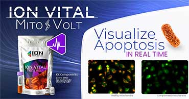 mitovolt-mmp-activity-assay-apoptosis