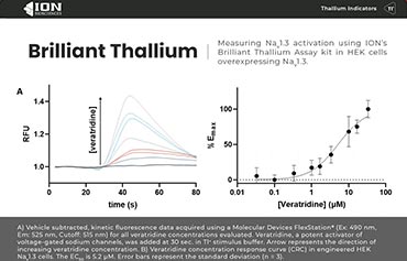 thallium-sodium-channel-activation