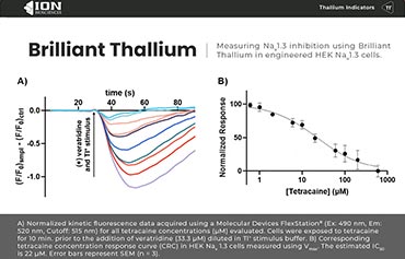 thallium-sodium-channel-inhibition